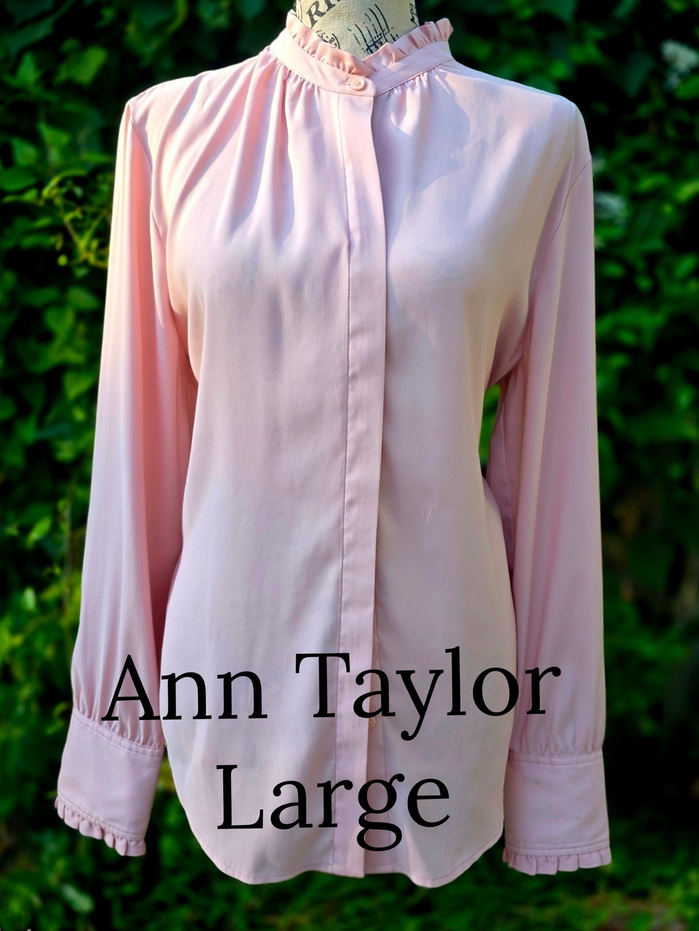 Ann Taylor Pale Pink Ruffle-Neck Button-Front Blouse